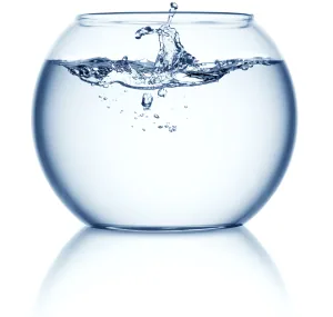 Clear glass bowl filled with water and a splash in the center